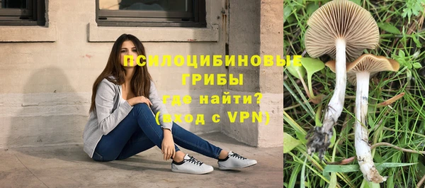 трава Дмитровск