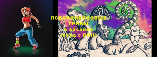 кристаллы Дмитриев