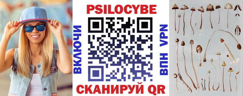 магазин    Высоцк  Галлюциногенные грибы прущие грибы 